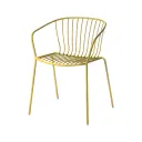 Silla Amitha con Brazos